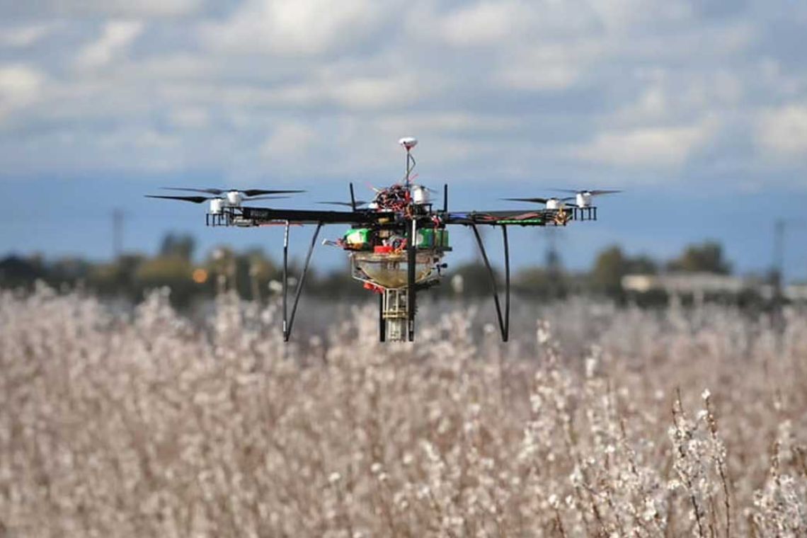 Les drones pollinisateurs pour remplacer les abeilles ?